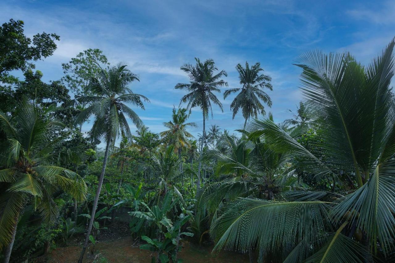 Homejay Residancies Unawatuna Esterno foto